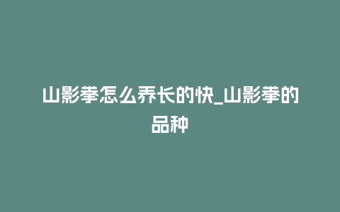 山影拳怎么养长的快_山影拳的品种_鲜花知识_第1张_酷尚品 山影拳怎么养长的快_山影拳的品种_http://www.kushangpin.com_鲜花知识_第1张