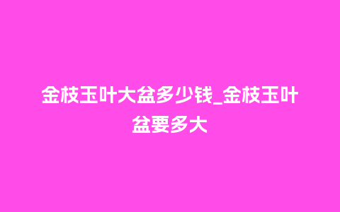 金枝玉叶大盆多少钱_金枝玉叶盆要多大_鲜花知识_第1张_酷尚品 金枝玉叶大盆多少钱_金枝玉叶盆要多大_https://www.kushangpin.com_鲜花知识_第1张