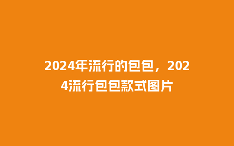 2024年流行的包包，2024流行包包款式图片_http://www.kushangpin.com_服装百科_第1张