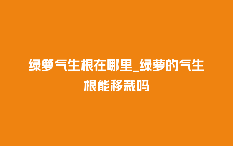 绿箩气生根在哪里_绿萝的气生根能移栽吗_鲜花知识_第1张_酷尚品 绿箩气生根在哪里_绿萝的气生根能移栽吗_http://www.kushangpin.com_鲜花知识_第1张