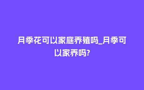 月季花可以家庭养殖吗_月季可以家养吗?_鲜花知识_第1张_酷尚品 月季花可以家庭养殖吗_月季可以家养吗?_https://www.kushangpin.com_鲜花知识_第1张