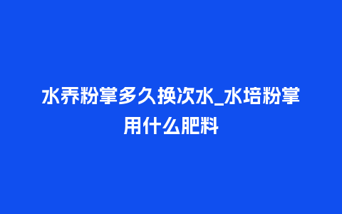 水养粉掌多久换次水_水培粉掌用什么肥料_鲜花知识_第1张_酷尚品 水养粉掌多久换次水_水培粉掌用什么肥料_http://www.kushangpin.com_鲜花知识_第1张