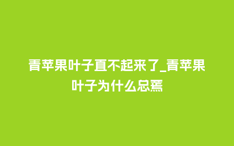青苹果叶子直不起来了_青苹果叶子为什么总蔫_鲜花知识_第1张_酷尚品 青苹果叶子直不起来了_青苹果叶子为什么总蔫_https://www.kushangpin.com_鲜花知识_第1张