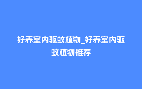 好养室内驱蚊植物_好养室内驱蚊植物推荐_鲜花知识_第1张_酷尚品 好养室内驱蚊植物_好养室内驱蚊植物推荐_http://www.kushangpin.com_鲜花知识_第1张