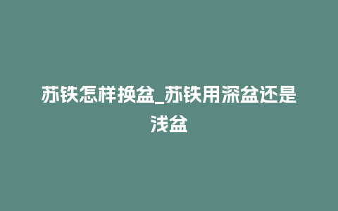 苏铁怎样换盆_苏铁用深盆还是浅盆_http://www.kushangpin.com_鲜花知识_第1张