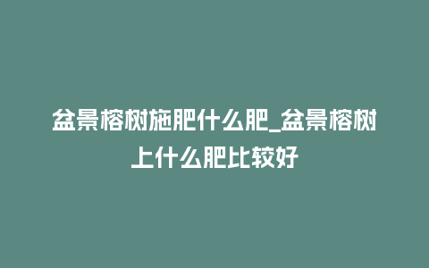 盆景榕树施肥什么肥_盆景榕树上什么肥比较好_鲜花知识_第1张_酷尚品 盆景榕树施肥什么肥_盆景榕树上什么肥比较好_https://www.kushangpin.com_鲜花知识_第1张