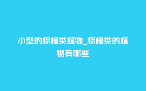 小型的棕榈类植物_棕榈类的植物有哪些_鲜花知识_第1张_酷尚品 小型的棕榈类植物_棕榈类的植物有哪些_https://www.kushangpin.com_鲜花知识_第1张