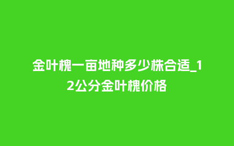 金叶槐一亩地种多少株合适_12公分金叶槐价格_鲜花知识_第1张_酷尚品 金叶槐一亩地种多少株合适_12公分金叶槐价格_http://www.kushangpin.com_鲜花知识_第1张