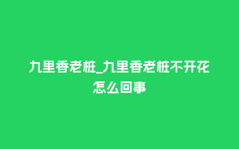 九里香老桩_九里香老桩不开花怎么回事_鲜花知识_第1张_酷尚品 九里香老桩_九里香老桩不开花怎么回事_https://www.kushangpin.com_鲜花知识_第1张