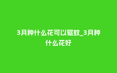 3月种什么花可以驱蚊_3月种什么花好_鲜花知识_第1张_酷尚品 3月种什么花可以驱蚊_3月种什么花好_https://www.kushangpin.com_鲜花知识_第1张