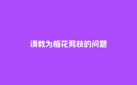 请教为梅花剪枝的问题_https://www.kushangpin.com_鲜花知识_第1张