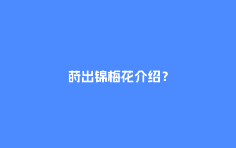 莳出锦梅花介绍?_鲜花知识_第1张_酷尚品 莳出锦梅花介绍?_https://www.kushangpin.com_鲜花知识_第1张