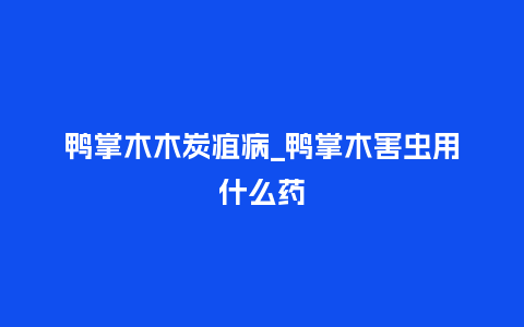 鸭掌木木炭疽病_鸭掌木害虫用什么药_鲜花知识_第1张_酷尚品 鸭掌木木炭疽病_鸭掌木害虫用什么药_http://www.kushangpin.com_鲜花知识_第1张