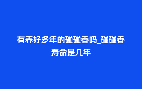有养好多年的碰碰香吗_碰碰香寿命是几年_鲜花知识_第1张_酷尚品 有养好多年的碰碰香吗_碰碰香寿命是几年_http://www.kushangpin.com_鲜花知识_第1张