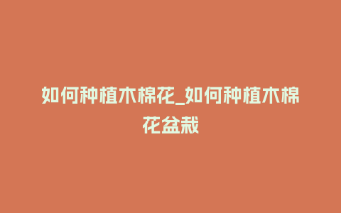 如何种植木棉花_如何种植木棉花盆栽_鲜花知识_第1张_酷尚品 如何种植木棉花_如何种植木棉花盆栽_http://www.kushangpin.com_鲜花知识_第1张