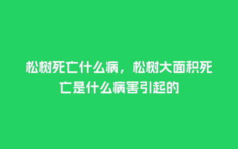 松树死亡什么病,松树大面积死亡是什么病害引起的_鲜花知识_第1张_酷尚品 松树死亡什么病,松树大面积死亡是什么病害引起的_https://www.kushangpin.com_鲜花知识_第1张