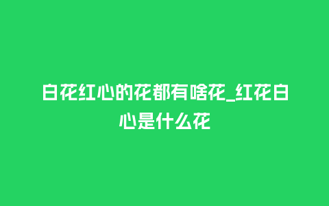 白花红心的花都有啥花_红花白心是什么花_鲜花知识_第1张_酷尚品 白花红心的花都有啥花_红花白心是什么花_https://www.kushangpin.com_鲜花知识_第1张