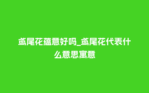 鸢尾花蕴意好吗_鸢尾花代表什么意思寓意_鲜花知识_第1张_酷尚品 鸢尾花蕴意好吗_鸢尾花代表什么意思寓意_https://www.kushangpin.com_鲜花知识_第1张