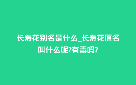 长寿花别名是什么_长寿花原名叫什么呢?有毒吗?_http://www.kushangpin.com_鲜花知识_第1张