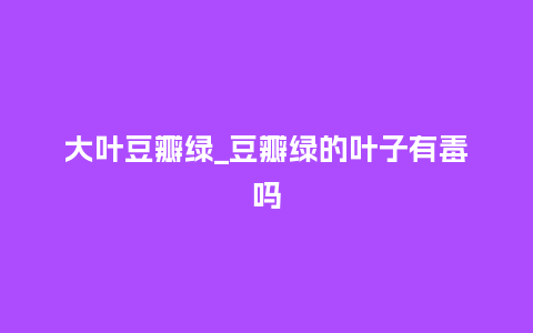 大叶豆瓣绿_豆瓣绿的叶子有毒吗_鲜花知识_第1张_酷尚品 大叶豆瓣绿_豆瓣绿的叶子有毒吗_https://www.kushangpin.com_鲜花知识_第1张