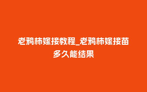 老鸦柿嫁接教程_老鸦柿嫁接苗多久能结果_鲜花知识_第1张_酷尚品 老鸦柿嫁接教程_老鸦柿嫁接苗多久能结果_https://www.kushangpin.com_鲜花知识_第1张
