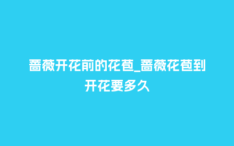 蔷薇开花前的花苞_蔷薇花苞到开花要多久_https://www.kushangpin.com_鲜花知识_第1张