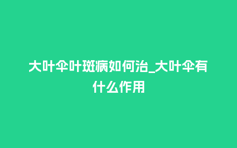 大叶伞叶斑病如何治_大叶伞有什么作用_http://www.kushangpin.com_鲜花知识_第1张