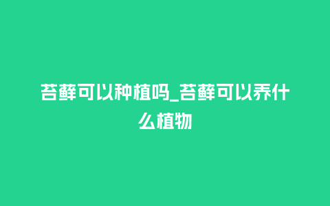 苔藓可以种植吗_苔藓可以养什么植物_https://www.kushangpin.com_鲜花知识_第1张