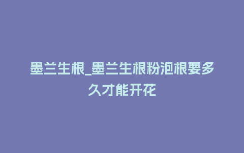 墨兰生根_墨兰生根粉泡根要多久才能开花_https://www.kushangpin.com_鲜花知识_第1张