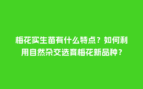 梅花实生苗有什么特点?如何利用自然杂交选育梅花新品种?_鲜花知识_第1张_酷尚品 梅花实生苗有什么特点?如何利用自然杂交选育梅花新品种?_http://www.kushangpin.com_鲜花知识_第1张