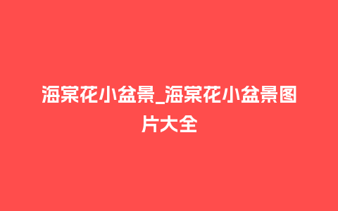 海棠花小盆景_海棠花小盆景图片大全_鲜花知识_第1张_酷尚品 海棠花小盆景_海棠花小盆景图片大全_http://www.kushangpin.com_鲜花知识_第1张