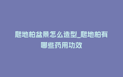 爬地柏盆景怎么造型_爬地柏有哪些药用功效_鲜花知识_第1张_酷尚品 爬地柏盆景怎么造型_爬地柏有哪些药用功效_https://www.kushangpin.com_鲜花知识_第1张