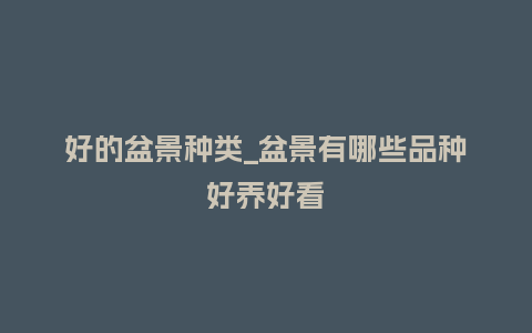 好的盆景种类_盆景有哪些品种好养好看_鲜花知识_第1张_酷尚品 好的盆景种类_盆景有哪些品种好养好看_https://www.kushangpin.com_鲜花知识_第1张