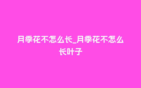 月季花不怎么长_月季花不怎么长叶子_鲜花知识_第1张_酷尚品 月季花不怎么长_月季花不怎么长叶子_https://www.kushangpin.com_鲜花知识_第1张