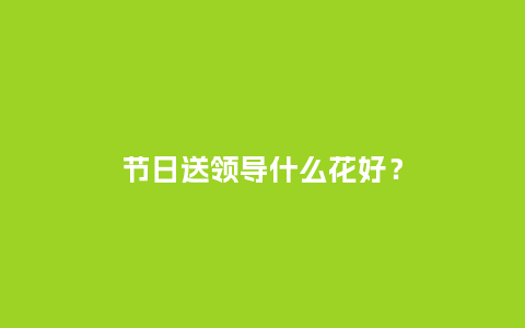 节日送领导什么花好？_https://www.kushangpin.com_送礼知识_第1张