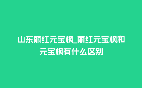 山东丽红元宝枫_丽红元宝枫和元宝枫有什么区别_鲜花知识_第1张_酷尚品 山东丽红元宝枫_丽红元宝枫和元宝枫有什么区别_https://www.kushangpin.com_鲜花知识_第1张