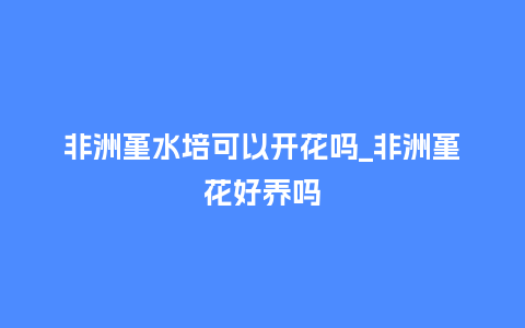 非洲堇水培可以开花吗_非洲堇花好养吗_鲜花知识_第1张_酷尚品 非洲堇水培可以开花吗_非洲堇花好养吗_http://www.kushangpin.com_鲜花知识_第1张