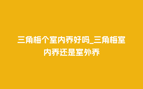 三角梅个室内养好吗_三角梅室内养还是室外养_鲜花知识_第1张_酷尚品 三角梅个室内养好吗_三角梅室内养还是室外养_http://www.kushangpin.com_鲜花知识_第1张