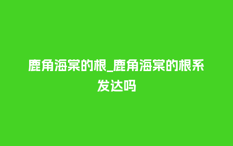 鹿角海棠的根_鹿角海棠的根系发达吗_鲜花知识_第1张_酷尚品 鹿角海棠的根_鹿角海棠的根系发达吗_http://www.kushangpin.com_鲜花知识_第1张