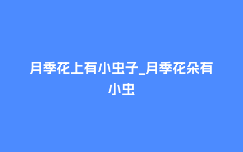 月季花上有小虫子_月季花朵有小虫_http://www.kushangpin.com_鲜花知识_第1张