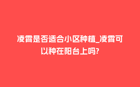凌霄是否适合小区种植_凌霄可以种在阳台上吗?_鲜花知识_第1张_酷尚品 凌霄是否适合小区种植_凌霄可以种在阳台上吗?_http://www.kushangpin.com_鲜花知识_第1张