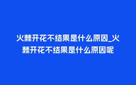 火棘开花不结果是什么原因_火棘开花不结果是什么原因呢_鲜花知识_第1张_酷尚品 火棘开花不结果是什么原因_火棘开花不结果是什么原因呢_https://www.kushangpin.com_鲜花知识_第1张