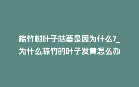 棕竹树叶子枯萎是因为什么?_为什么棕竹的叶子发黄怎么办_鲜花知识_第1张_酷尚品 棕竹树叶子枯萎是因为什么?_为什么棕竹的叶子发黄怎么办_http://www.kushangpin.com_鲜花知识_第1张