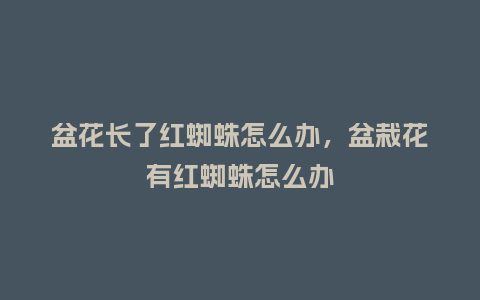 盆花长了红蜘蛛怎么办,盆栽花有红蜘蛛怎么办_鲜花知识_第1张_酷尚品 盆花长了红蜘蛛怎么办,盆栽花有红蜘蛛怎么办_https://www.kushangpin.com_鲜花知识_第1张