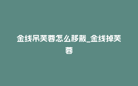 金线吊芙蓉怎么移栽_金线掉芙蓉_鲜花知识_第1张_酷尚品 金线吊芙蓉怎么移栽_金线掉芙蓉_https://www.kushangpin.com_鲜花知识_第1张