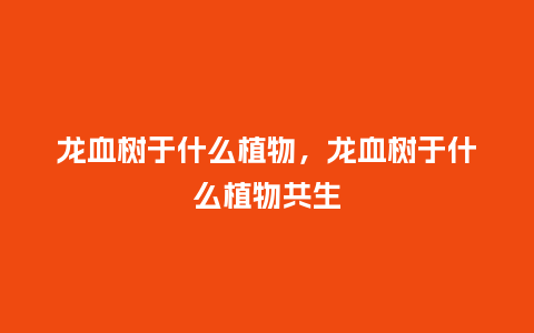 龙血树于什么植物,龙血树于什么植物共生_鲜花知识_第1张_酷尚品 龙血树于什么植物,龙血树于什么植物共生_https://www.kushangpin.com_鲜花知识_第1张