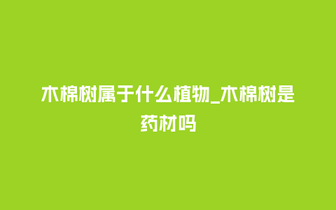 木棉树属于什么植物_木棉树是药材吗_鲜花知识_第1张_酷尚品 木棉树属于什么植物_木棉树是药材吗_http://www.kushangpin.com_鲜花知识_第1张