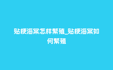 贴梗海棠怎样繁殖_贴梗海棠如何繁殖_http://www.kushangpin.com_鲜花知识_第1张