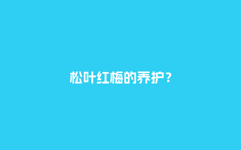 松叶红梅的养护?_鲜花知识_第1张_酷尚品 松叶红梅的养护?_https://www.kushangpin.com_鲜花知识_第1张