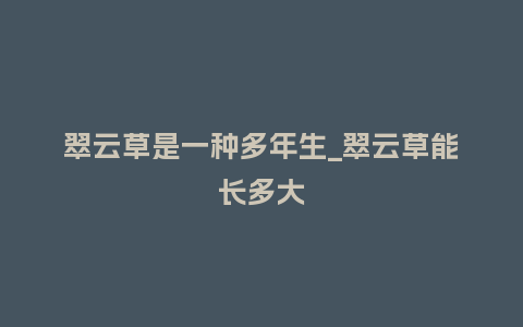 翠云草是一种多年生_翠云草能长多大_https://www.kushangpin.com_鲜花知识_第1张